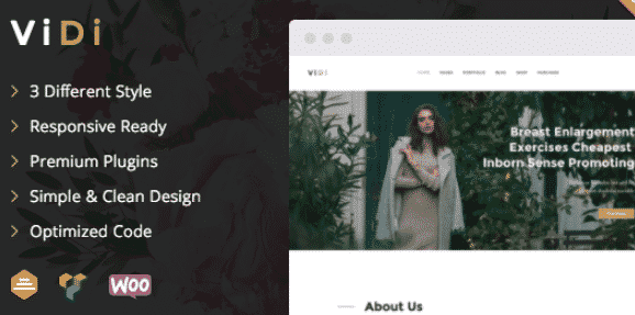 ViDi - 3 in 1 Creative WordPress Theme