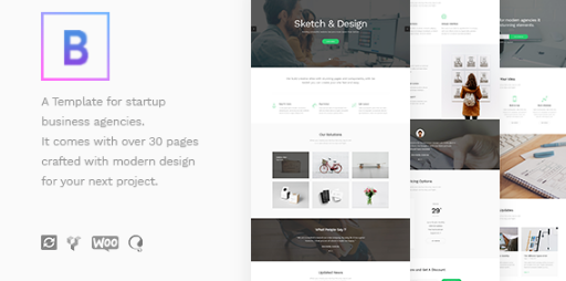 BoTheme - Startup Business WordPress Theme