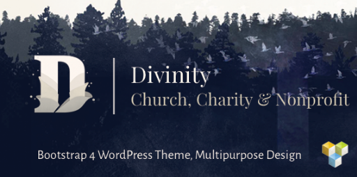 Divinity - Church& Nonprofit wordpress theme