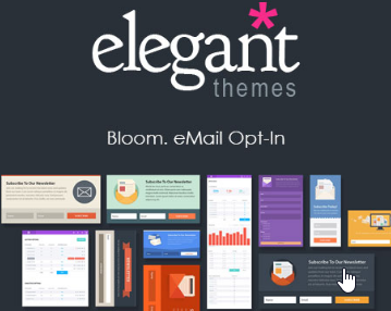 Elegant Themes Bloom Email Opt-Ins