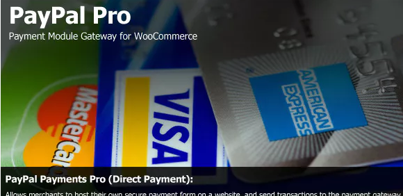 PayPal Pro Payment Module for WooCommerce