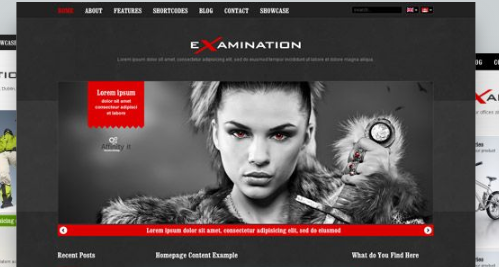 AIT - Examination WordPress Theme