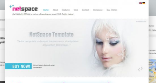 AIT - Netspace WordPress Theme