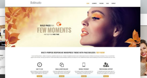 AIT - Solitudo WordPress Theme