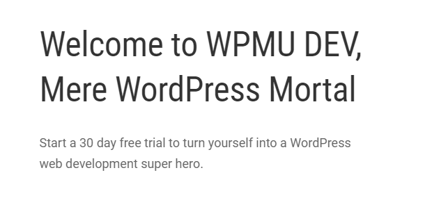 Product Image - WPMU DEV Branda / Ultimate Branding WordPress Plugin 3.4.19