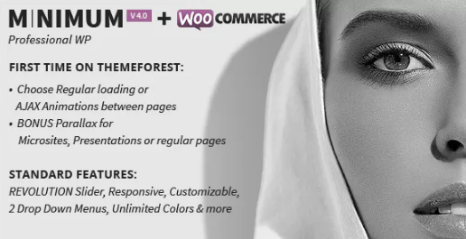 MINIMUM – Professional WordPress Theme