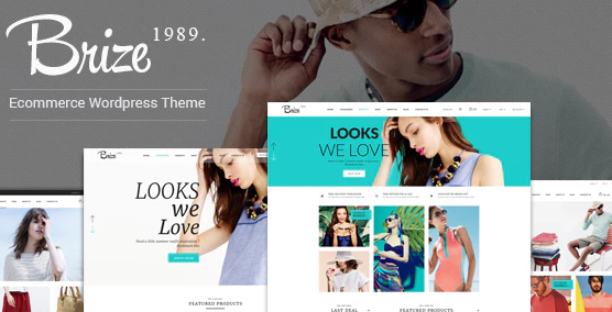 Brize - Responsive WooCommerce Fashion Theme