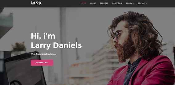 Larry. - Personal Onepage WordPress Theme