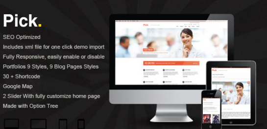 Pick - WP Responsive Theme