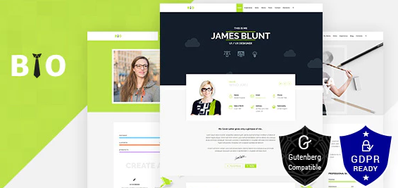 Resume, CV, Freelancer WordPress Theme