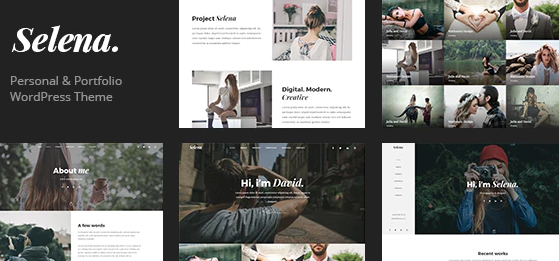 Selena. - Multipirpose WordPress Theme