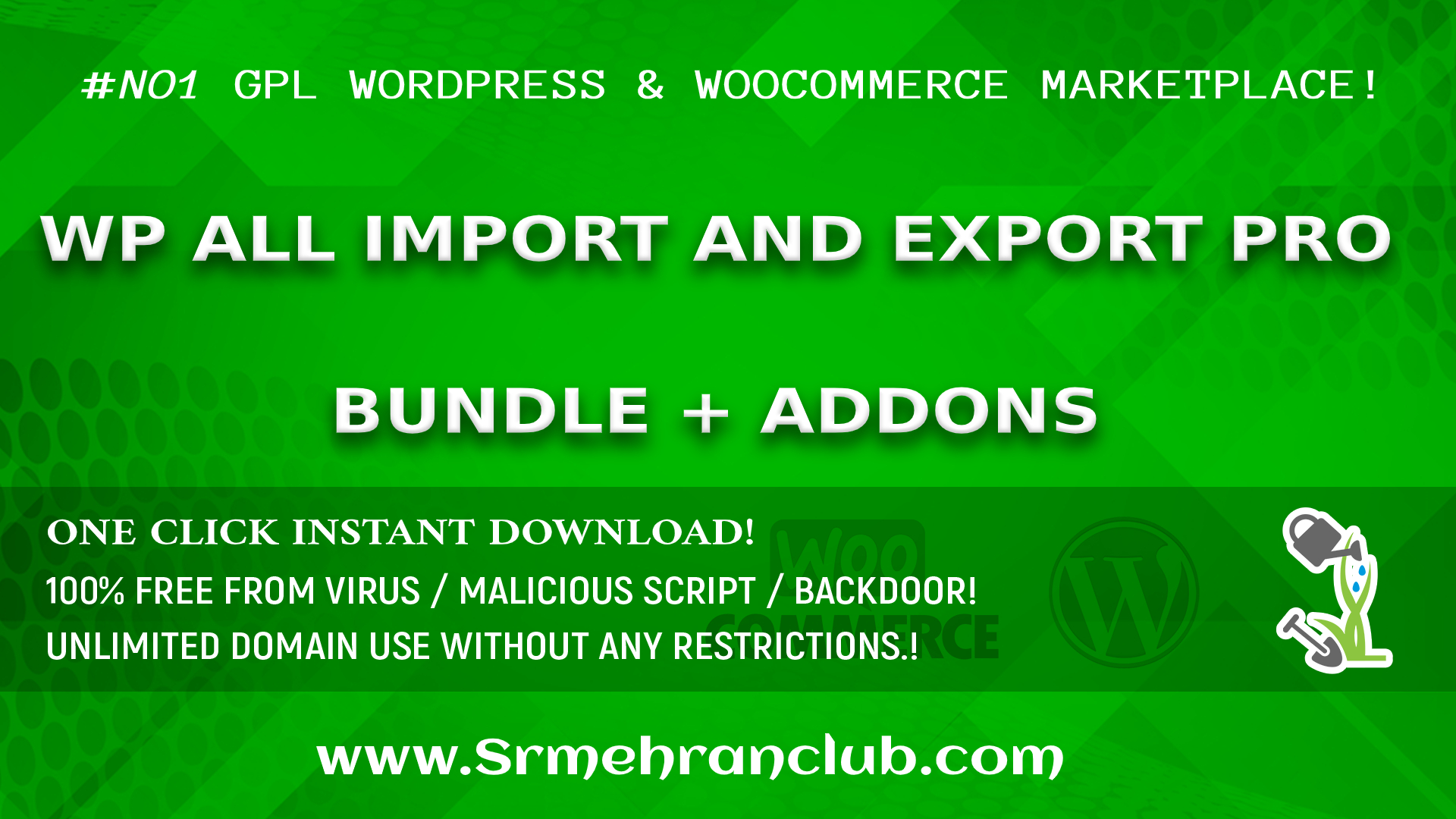 WP All Import and Export Pro Bundle + Addons 