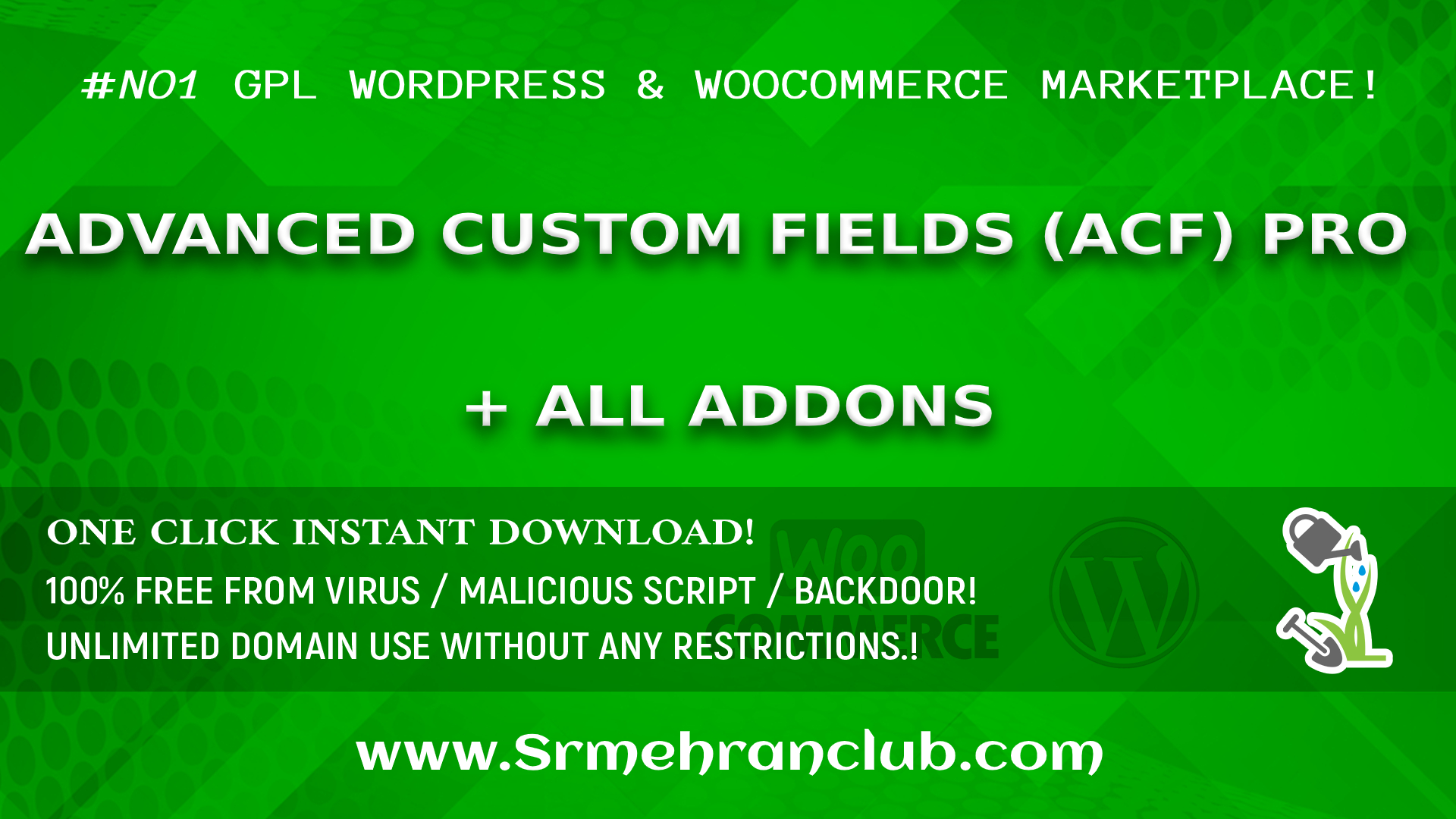 Advanced Custom Fields (ACF) Pro + All Addons