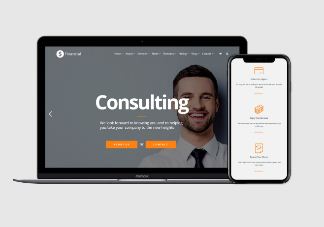 VisualModo Financial WordPress Theme