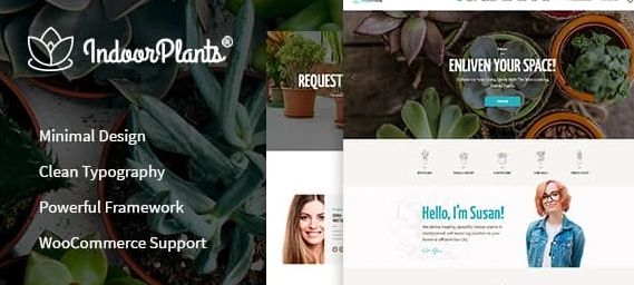 Indoor Plants | Houseplants store & Gardening WP