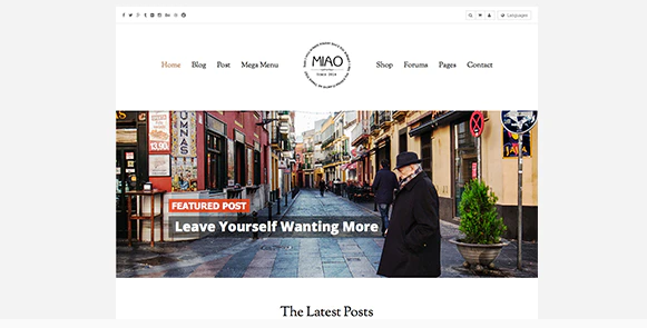 Miao - Clean Blog & Shop WordPress Theme