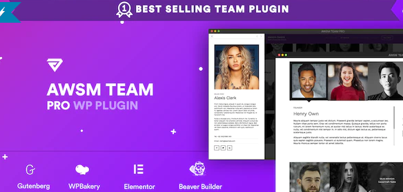 The Team Pro - Team Showcase WordPress Plugin