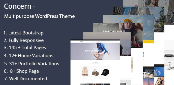Concern - Multipurpose and Portfolio WordPress