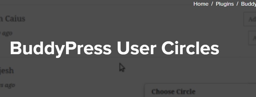 BuddyPress User Circles