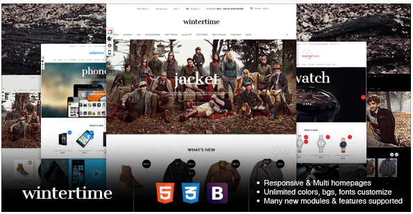 Responsive Magento Theme - Gala Wintertime
