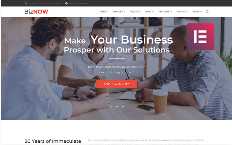Biznow - Business Consulting Elementor WordPress Theme WordPress