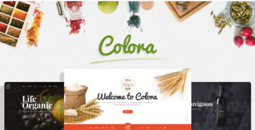 Colora – Organic Responsive Prestashop 1.7 Theme
