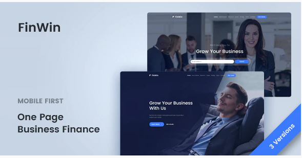 FinWin - One Page Business Finance Template