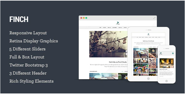 Finch – Photography Template for Photographers