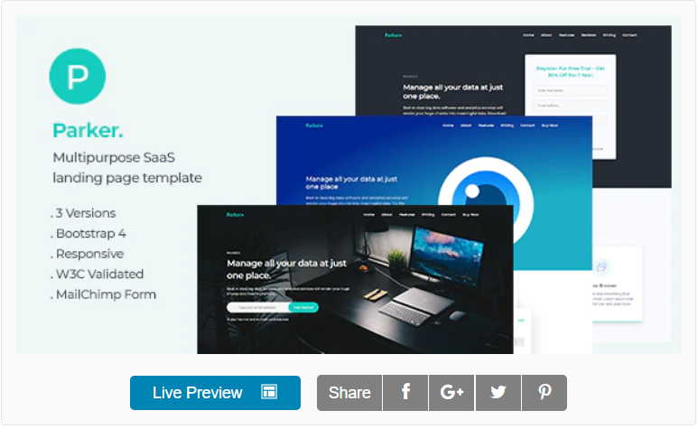 Parker Software and Startup Landing Page Template