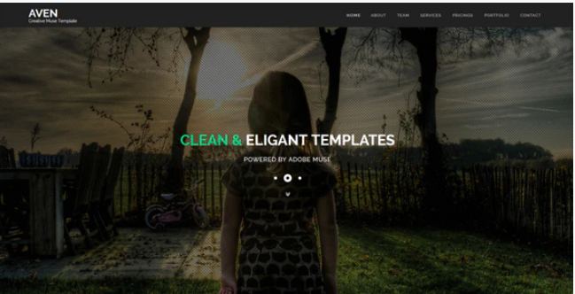 Aven - Multipurpose Parallax HTML Template