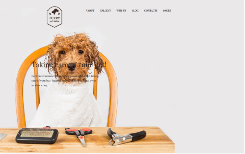 Furry - Pet Grooming WordPress Theme