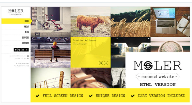 Moler - Full Screen Portfolio Template