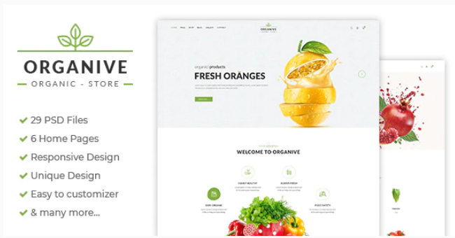 Organive - Organic Store & Eco Food Products PSD Template