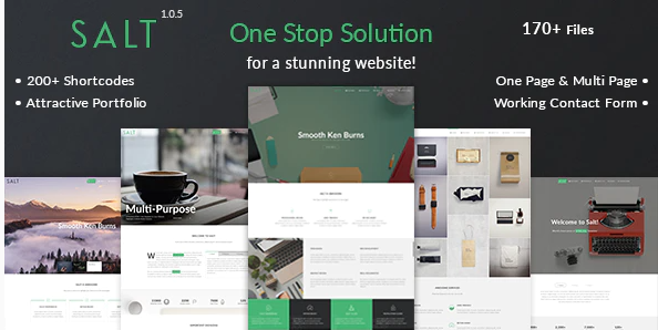 Salt - Multi-purpose HTML5 Template