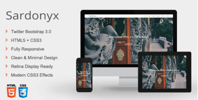 Sardonyx - Fully Responsive Business Template