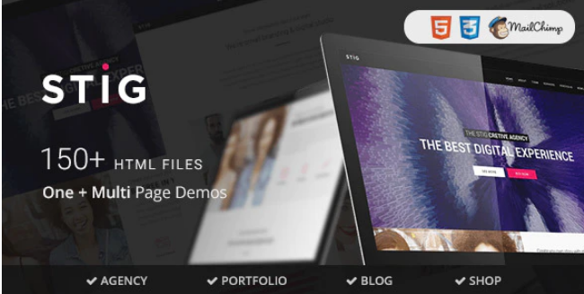Stig - Multipurpose One/Multi Page Template