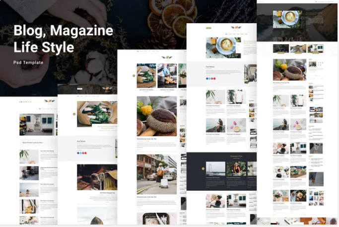 Solo Life - Blog PSD Template