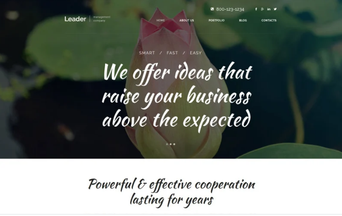 Leader WordPress Theme