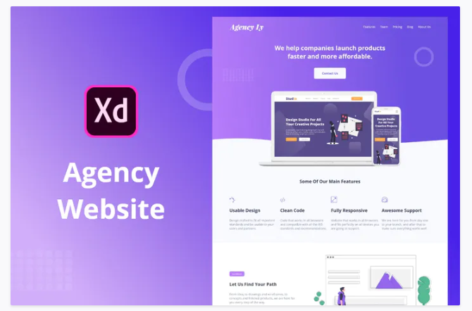Agency Website