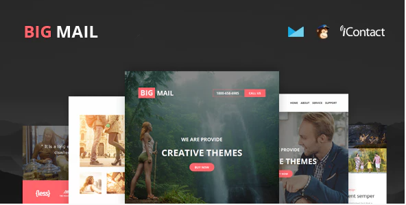 Big Mail - Responsive E-mail Template + Online Access