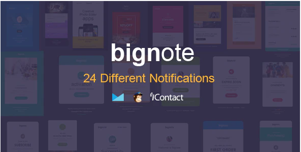 Bignote - 24 Unique Responsive Email Notification set + Online Access
