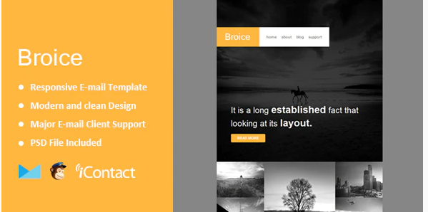 Broice - Responsive E-mail Template + Themebuilder Access