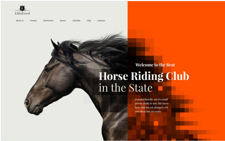 Elite Breed - Equestrian & Horse Riding Club WordPress Theme