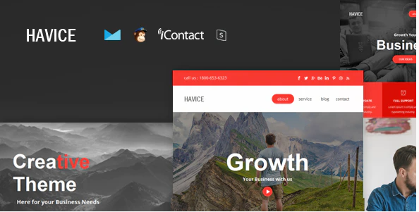Havice Mail - Responsive E-mail Template + Online Access