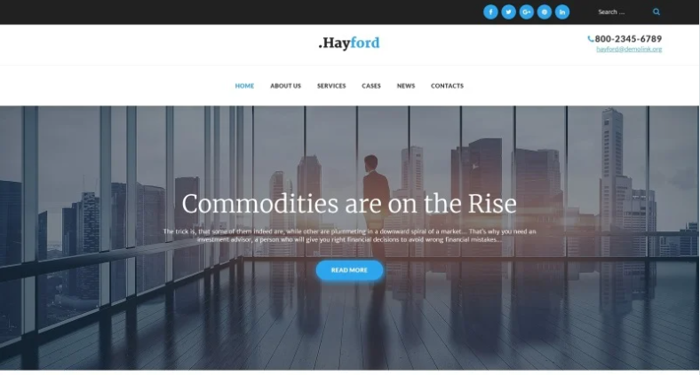 Hayford - Investment Consulting Services Responsive WordPress Theme