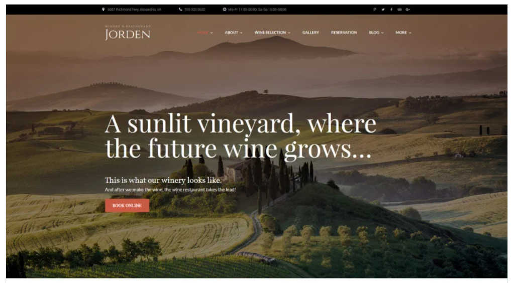 Jorden - Wine & Winery WordPress Theme