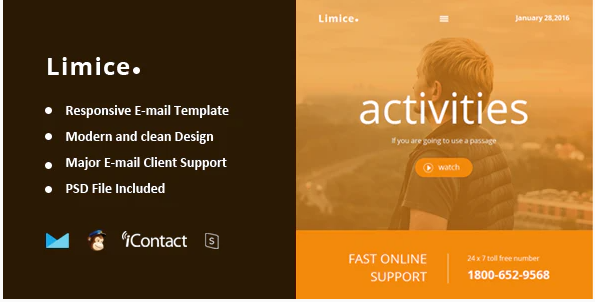 Limice - Responsive E-mail Template + Online Access