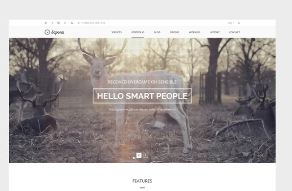 Sapona – Onepage PSD Template