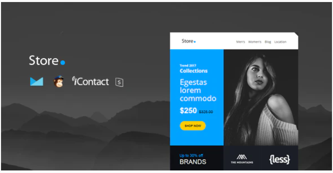 Store Mail - Responsive E-mail Template + Online Access
