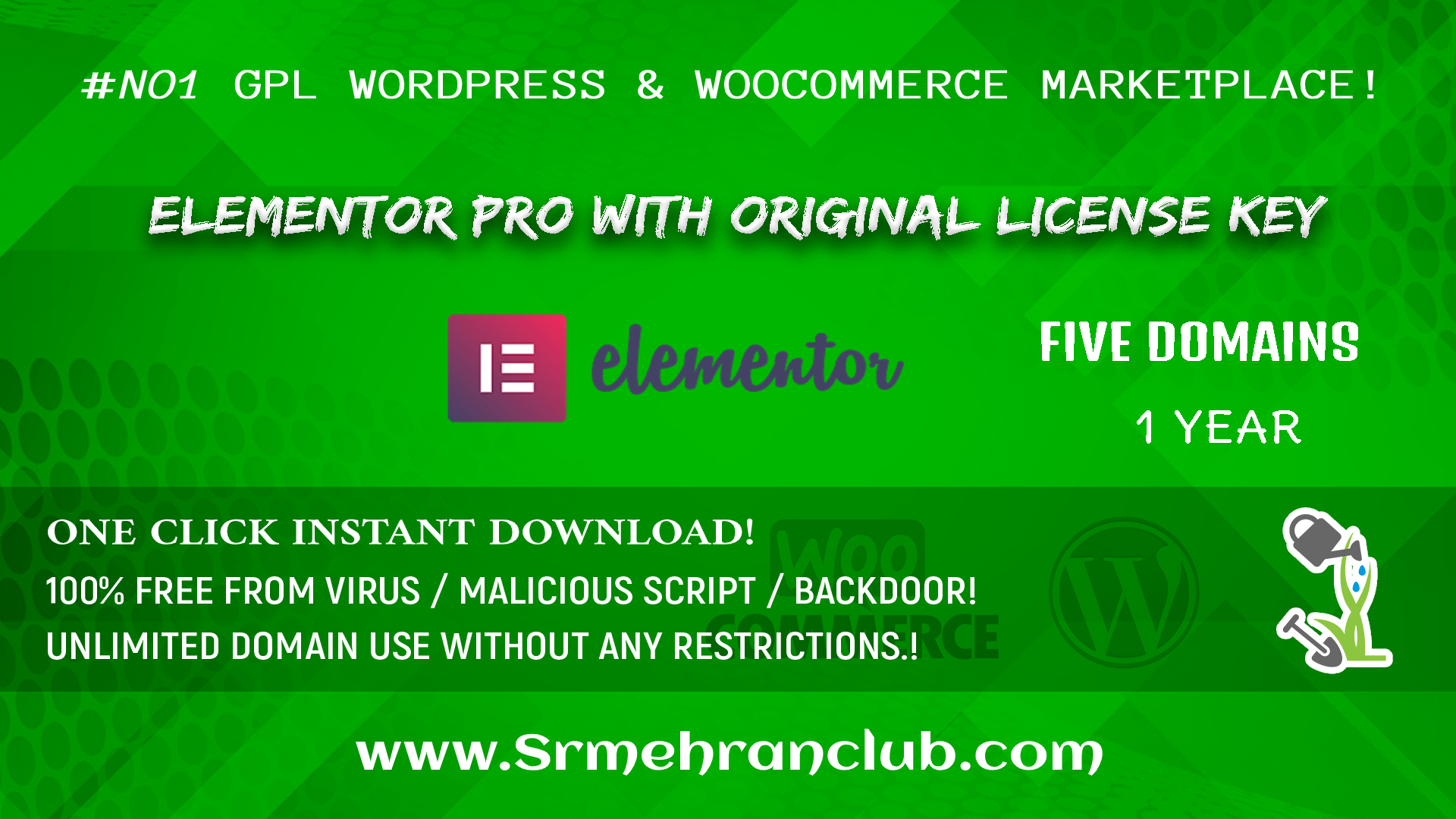 Elementor Pro WordPress Plugin Original License key Included (Five domain)